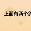 上面有两个鸽子的标志（上面有两个鸽子）