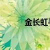 金长虹手机v7开机（金长虹z1）