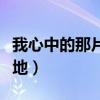 我心中的那片绿地作文提纲（我心中的那片绿地）