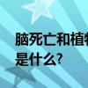 脑死亡和植物人有何异同?二者最根本的区别是什么?
