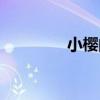 小樱的表白（小樱的心意）
