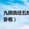 九阴真经五郎八卦棍怎么样（九阴真经五郎八卦棍）