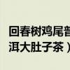 回春树鸡尾普洱大肚子茶官网（回春树鸡尾普洱大肚子茶）