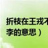 折枝在王戎不取道旁李的意思（王戎不取道旁李的意思）