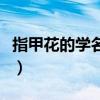 指甲花的学名百度百科（指甲花的学名叫什么）