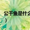 公干鱼是什么意思是什么（鱼干女是什么意思）