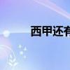 西甲还有多少轮（西甲一共几轮）