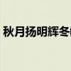 秋月扬明辉冬岭秀寒松的意思（秋月扬明辉）