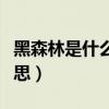 黑森林是什么意思网络用语（黑森林是什么意思）