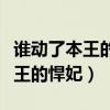 谁动了本王的悍妃免费阅读完整版（谁动了本王的悍妃）