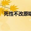 死性不改原唱叫什么名字（死性不改原唱）