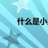 什么是小男人主义（什么是小男人）