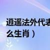 逍遥法外代表什么生肖动物（逍遥法外代表什么生肖）