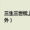 三生三世枕上 番外28（三生三世枕上 终篇番外）