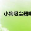小狗吸尘器吸力小了怎么办（小狗吸尘器）