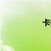 卡拉扬简介（卡拉扬）