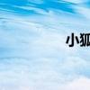 小狐仙官网（小狐仙qq）