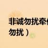 非诚勿扰牵你的手是什么歌（牵我的手 非诚勿扰）
