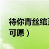 待你青丝绾正,铺十里红妆可愿（铺十里红妆可愿）