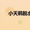小天鹅脱水机接线图（小天鹅脱水机）