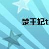 楚王妃txt下载宁姝（楚王妃txt）