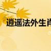 逍遥法外生肖是什么（逍遥法外打一生肖）