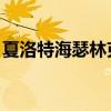夏洛特海瑟林克龙族小说（夏洛特 海瑟林克）