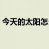 今天的太阳怎么了回事（今天的太阳怎么了）