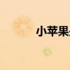 小苹果是啥（小苹果什么意思）