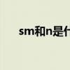 sm和n是什么意思（smn是什么意思）