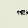 中翻英哪个软件好（中翻英）