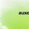 auxo2 更新说明（auxo2）