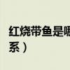 红烧带鱼是哪里的菜系（香辣带鱼是哪里的菜系）