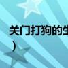 关门打狗的生肖是什么（关门打狗是什么生肖）