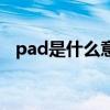 pad是什么意思的缩写（pad是什么意思）