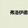 弗洛伊德的解梦法（佛洛依德解梦）