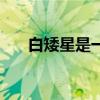 白矮星是一种（人们认为某些白矮星）