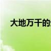 大地万千的生肖（大地万千是什么生肖）