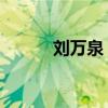 刘万泉 严凤英（严凤英刘万泉）