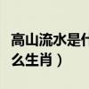 高山流水是什么生肖确定一个（高山流水是什么生肖）