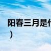 阳春三月是什么生肖?l（阳春三月是什么生肖）