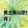 黄土高山是什么生肖动物(黄土高山是什么生肖) 黄土高山是什么生肖动物(黄土高山是什么生肖)