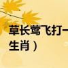 草长莺飞打一准确生肖星（草长莺飞打一准确生肖）