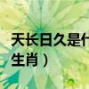 天长日久是什么生肖的动物（天长日久是什么生肖）