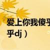 爱上你我傻乎乎dj版酷狗音乐（爱上你我傻乎乎dj）