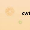 cwtvc循环工况（cwtv）