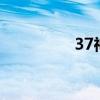37神仙道（178神仙道）