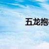 五龙抱柱是啥意思（五龙抱柱）