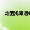 龙困浅滩遭虾戏,虎落平阳被犬欺打一生肖