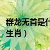 群龙无首是什么生肖的动物（群龙无首是什么生肖）